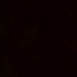 Meet your Posher, Jada